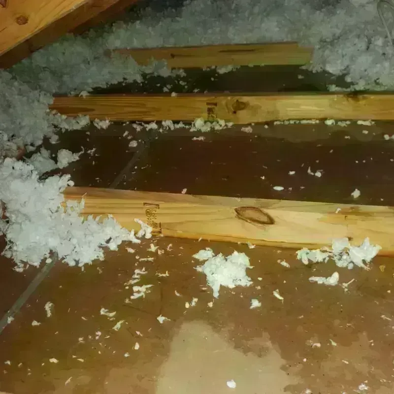 Attic Water Damage in Carrollton, MO