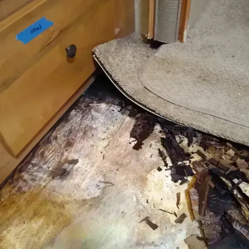 Wood Floor Water Damage in Carrollton, MO